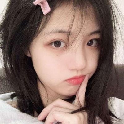 猫与苍蝇